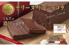 無地熨斗 テリーヌ・ド・ショコラ フランスゲランド塩付き 1本 テリーヌ ショコラ 濃厚 チョコレート チョコ 塩 洋菓子 焼き菓子 菓子 お菓子 スイーツ 贈り物 プレゼント ギフト エイセンドウ 新潟県 南魚沼市