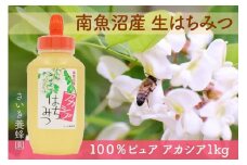 さいき養蜂園　天然ピュア蜂蜜　アカシア １ｋｇ　はちみつ 国産