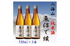 【魚沼地域限定】純米酒 八海山「魚沼で候」720ml×3本