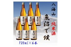 【魚沼地域限定】純米酒 八海山「魚沼で候」720ml×6本