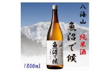 【魚沼地域限定】純米酒 八海山「魚沼で候」1800ml×1本