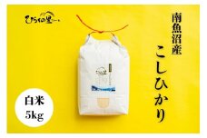 【令和7年産新米予約】最高金賞 南魚沼産コシヒカリ 白米5kg もっちり甘い！ ひらくの里ファーム【2025年10月上旬より順次発送予定】