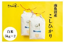 【令和7年産新米予約】最高金賞 南魚沼産コシヒカリ 白米5kg×2 もっちり甘い！ ひらくの里ファーム【2025年10月上旬より順次発送予定】
