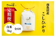 【定期便　令和7年産新米予約】（全6ヶ月）もっちり甘い！南魚沼産コシヒカリ 白米5kg ひらくの里ファーム【2025年10月上旬より順次発送予定】
