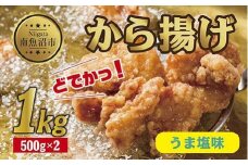 どでか味付けから揚げ うま塩味 500g×2パック 計1kg 大容量 唐揚げ からあげ から揚げ しお 塩 揚げ物 冷凍 惣菜 簡単 調理 肉 おかず 味付き 野崎フーズ 新潟県 南魚沼市