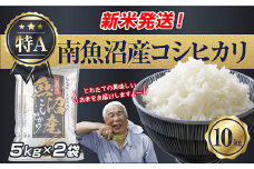 【新米発送】  令和7年産 新潟県 南魚沼産 コシヒカリ お米 5kg×2袋 計10kg 精米済み（お米の美味しい炊き方ガイド付き） お米 こめ 白米 新米 こしひかり 食品 人気 おすすめ 送料無料 魚沼 南魚沼 南魚沼市 新潟県産 新潟県 精米 産直 産地直送 お取り寄せ【2025年10月上旬より順次発送予定】