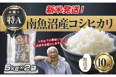 【新米発送】「無洗米」 令和7年産 新潟県 南魚沼産 コシヒカリ お米 5kg×2袋 計10kg 精米済み（お米の美味しい炊き方ガイド付き） お米 こめ 白米 新米 こしひかり 食品 人気 おすすめ 送料無料 魚沼 南魚沼 南魚沼市 新潟県産 新潟県 精米 産直 産地直送 お取り寄せ【2025年10月上旬より順次発送予定】