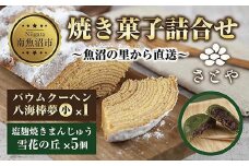 バウムクーヘン 八海棒夢 小 1個 雪花の丘 5個 セット 八海山 大吟醸 焼き菓子 スイーツ バームクーヘン 焼きまんじゅう お菓子 菓子 洋菓子 手土産 スイーツ 詰め合わせ 贈り物 ギフト さとや 新潟県 南魚沼市 酒 お酒 日本酒