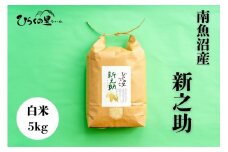 【令和7年産新米予約】金賞 南魚沼産新之助 白米5kg きらめく大粒！ ひらくの里ファーム【2025年10月上旬より順次発送予定】