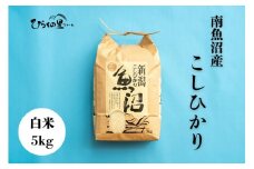 【令和7年産新米予約】南魚沼産コシヒカリ 白米5kg ひらくの里ファーム【2025年9月中旬より順次発送予定】