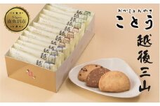 越後三山 山のクッキー 各4枚 計12個 クッキー チョコチップ ココア 和菓子 洋菓子 お菓子 菓子 焼き菓子 セット 菓子詰合せ 詰め合わせ スイーツ ギフト おかしとおやき ことう 新潟県 南魚沼市