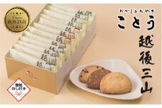 無地熨斗 越後三山 山のクッキー 各4枚 計12個 クッキー チョコチップ ココア 和菓子 洋菓子 お菓子 菓子 焼き菓子 セット 菓子詰合せ 詰め合わせ スイーツ ギフト おかしとおやき ことう 新潟県 南魚沼市