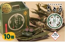 無地熨斗 笹だんご 10個 笹団子 だんご 団子 よもぎ あんこ ヨモギ 餡子 名物 ご当地 和菓子 お菓子 菓子 手土産 スイーツ 贈り物 ギフト プレゼント おかしとおやき ことう 新潟県 南魚沼市