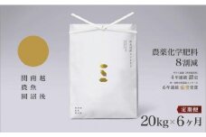 【定期便令和7年産新米予約】関智晴がつくる南魚沼塩沢産コシヒカリ 20kg×全6回 減農薬栽培米【2025年9月中旬より順次発送予定】