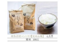 【予約Ｒ7年産　新米予約】南魚沼産コシヒカリ精米10kg 山本家【従来品種】【2025年10月下旬より順次発送予定】