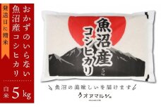 【令和7年産新米予約】おかずのいらない 魚沼産コシヒカリ　白米５ｋｇ　令和７年産【2025年10月上旬より順次発送予定】