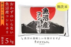 【令和7年産新米予約】おかずのいらない 魚沼産コシヒカリ 無洗米５ｋｇ 令和７年産【2025年10月上旬より順次発送予定】