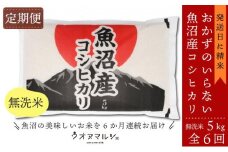 【令和7年産新米予約】【お米定期便/全６回】おかずのいらない 魚沼産コシヒカリ　無洗米５ｋｇ【2025年10月上旬より順次発送予定】