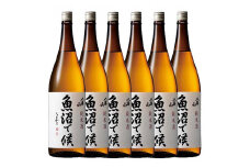 日本酒 八海山 純米酒 魚沼で候 1800ml×6本 新潟県魚沼地域限定