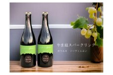 カベルネ・ソービニヨンの辛口スパークリングワイン 2本セット