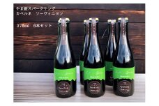 カベルネ・ソービニヨンの辛口スパークリングワイン 小瓶6本セット
