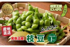 【予約販売】令和7年産 枝豆 500g×2袋 計1kg えだまめ 豆 つまみ おつまみ 酒の肴 晩酌 酒 ビール おやつ おかず 豆ごはん 冷蔵 越季 新潟県 南魚沼市