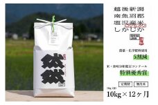 【令和7年産新米予約】【定期便】南魚沼塩沢産コシヒカリ「然然」　農薬5割減栽培　無洗米10kg（5kg x 2） x 全12回【2025年10月1日より順次発送予定】