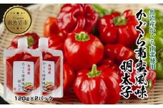 明太子 かぐら南蛮 風味 120g×2個 めんたいこ 鱈子 たらこ 魚卵 神楽南蛮 唐辛子 トウガラシ ご飯のお供 惣菜 越季 新潟県 南魚沼市