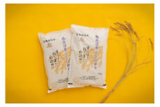 【令和6年産】 有機JAS認定米「南魚沼産コシヒカリ」精米5kg×2袋 有機栽培米【新潟県 特A地区】