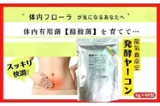 酪酸菌サプリ｜ヤーコンのフラクトオリゴ糖を酵素化「発酵ヤーコン」5ｇ×60包入