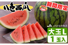 【期間限定】八色西瓜（大玉 Lサイズ) ×1玉