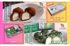 チョコレート ショコラトリュフ ココア 抹茶 スイーツ 生洋菓子  新潟県 南魚沼市 ナトゥーラ 濃厚ひんやり ユキノトリュフ 各1箱（合計2箱）