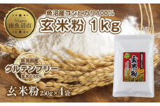 玄米粉 250g×4袋 計1kg 魚沼産 コシヒカリ 玄米 白米粉 グルテンフリー 小麦不使用 GABA アレルギー お取り寄せ パン ケーキ 菓子 ギフト 送料無料 コパフーズ 新潟県 南魚沼市