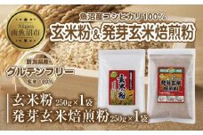新潟県産 玄米粉 発芽玄米焙煎粉 セット 各250g 計500g 魚沼産 コシヒカリ 玄米 アレルギー グルテンフリー GABA 米粉 お取り寄せ お菓子 パン作り 製菓 コパフーズ 新潟県 南魚沼市