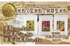 新潟県産 米粉 発芽玄米粉 玄米粉 各250g 計750g  魚沼産 コシヒカリ 玄米 アレルギー グルテンフリー GABA お取り寄せ 製菓材料 パン作り 製菓 コパフーズ 新潟県 南魚沼市