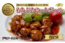 和豚 もちぶた ミートボール 2種 食べ比べ 各160g×2袋 計4袋 ミートソース デミグラス もちぶた100%使用 国産 豚肉 ポーク 冷凍 手軽 おかず 肉の片山 送料無料 新潟県 南魚沼市