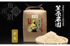 【定期便】【令和７年産新米予約／令和７年（2025年）９月上旬から順次発送】南魚沼産 笠原農園米 コシヒカリ玄米【5kg×全６回】