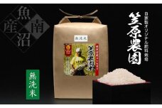 【定期便】【令和７年産新米予約／令和７年（2025年）９月上旬から順次発送】南魚沼産 笠原農園米 コシヒカリ 無洗米（5kg×全6回）