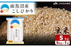【令和7年産＼新米／】南魚沼産こしひかり 玄米 5kg 特A獲得日本一産地 精選玄米 雪国の恵み もっちり甘い 南魚沼産コシヒカリ【2025年10月上旬から順次発送】