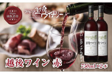 越後ワイン 赤 750ml 2本セット アグリコア  越後ワイナリー  新潟県産 ぶどう100%使用  辛口 ミディアムボディ アルコール12% 国産ワイン 魚沼ワイン 送料無料 新潟県 南魚沼市