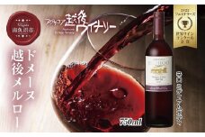 ドメーヌ・越後メルロー  赤 750ml アグリコア  越後ワイナリー  南魚沼市産メルロー 辛口 ミディアムボディ アルコール度数 12% 国産ワイン 魚沼ワイン わいん 送料無料 新潟県 南魚沼市