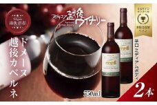 ドメーヌ・越後カベルネ  赤 750ml 2本セット アグリコア  越後ワイナリー  南魚沼市産カベルネソーヴィニヨン 辛口 ミディアムボディ 度数12% 国産 魚沼ワイン 送料無料 新潟県 南魚沼市