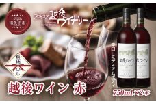 無地熨斗 越後ワイン 赤 750ml 2本セット アグリコア  越後ワイナリー  新潟県産 ぶどう100%使用  辛口 ミディアムボディ アルコール12% 国産ワイン 魚沼ワイン 送料無料 新潟県 南魚沼市