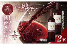 無地熨斗 ドメーヌ・越後メルロー  赤 750ml 2本セット アグリコア  越後ワイナリー  南魚沼市産メルロー 辛口 ミディアムボディ アルコール度数12% 魚沼ワイン 国産 送料無料 新潟県 南魚沼市