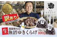 訳あり 国産 生 きくらげ 200g×2袋 計400g 小分け 規格外 訳アリ 栄養豊富 無農薬 無添加 オーガニック 自家栽培 雪国 魚沼ゆきくらげ キクラゲ 木耳 きのこ キノコ ビタミンＤ 健康 食品 食物繊維 菌床 歯ごたえ 食感 高品質 送料無料 新潟県 南魚沼市