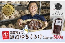 国産 生 きくらげ 100g×5パック 計500g 小分け 栄養豊富 無農薬 無添加 オーガニック 自家栽培 雪国 魚沼ゆきくらげ キクラゲ 木耳 きのこ キノコ ビタミンＤ 肉厚 健康 食品 食物繊維 佃煮 歯ごたえ  菌床 食感 高品質 送料無料 新潟県 南魚沼市