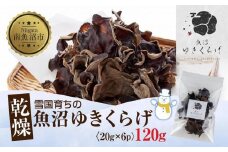 国産 乾燥 きくらげ 20g×6パック 計120g 小分け 栄養豊富 無農薬 無添加 オーガニック 自家栽培 雪国 魚沼ゆきくらげ キクラゲ 木耳 きのこ キノコ ビタミンＤ 肉厚 健康 食品 食物繊維 佃煮 歯ごたえ  菌床 食感 高品質 送料無料 新潟県 南魚沼市