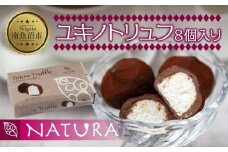ユキノトリュフ 8個 チョコレート ココア おやつ スイーツ  洋菓子 バレンタイン 誕生日 お祝い 贈り物 ギフト 取り寄せ 冷凍 グルメ 土産 パーティー 魚野の里 ナトゥーラ 新潟県 南魚沼市