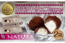 ユキノトリュフ 8個 2箱 チョコレート ココア おやつ スイーツ  洋菓子 バレンタイン 誕生日 お祝い 贈り物 ギフト お取り寄せ 冷凍 グルメ パーティー 魚野の里 ナトゥーラ 新潟県 南魚沼市