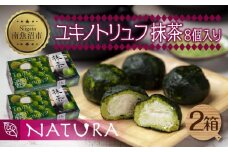 ユキノトリュフ 8個 2箱 チョコレート 抹茶 おやつ スイーツ 洋菓子 バレンタイン 誕生日 お祝い 贈り物 ギフト お取り寄せ 冷凍 グルメ パーティー 魚野の里 ナトゥーラ 新潟県 南魚沼市